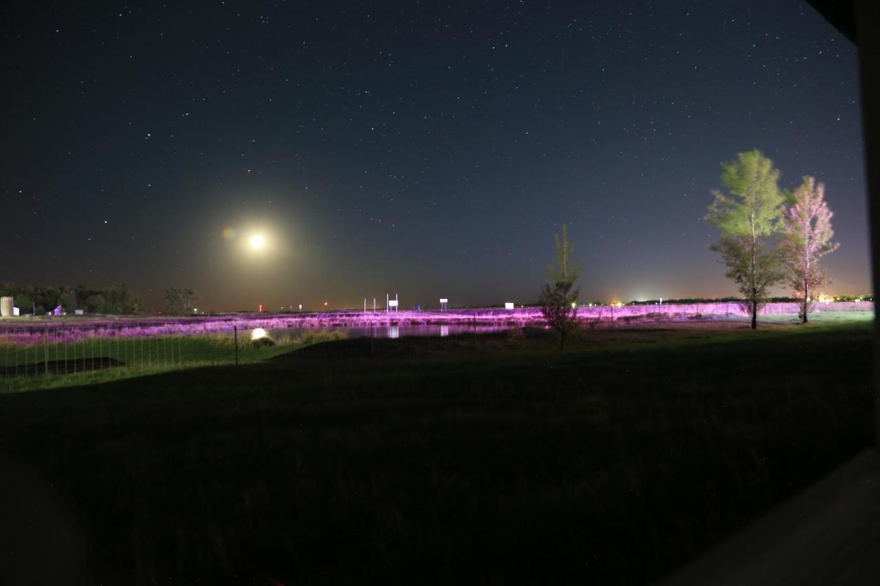 Artos Motel Harvey Dış mekan fotoğraf